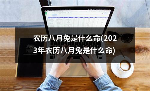 农历八月兔是什么命(2023年农历八月兔是什么命)