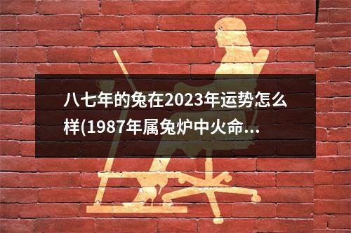 八七年的兔在2023年运势怎么样(1987年属兔炉中火命2023运势)