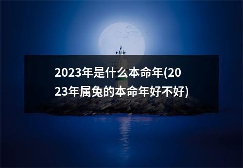 2023年是什么本命年(2023年属兔的本命年好不好)