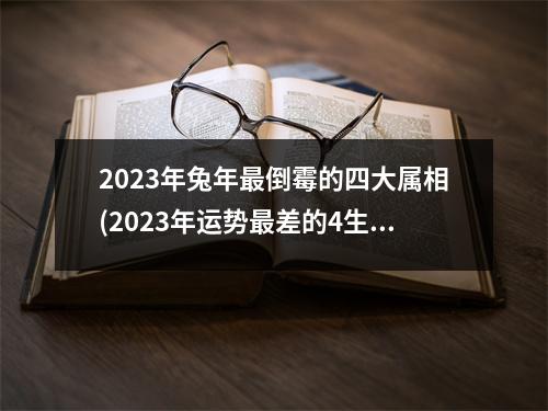 2023年兔年倒霉的四大属相(2023年运势差的4生肖)