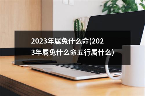 2023年属兔什么命(2023年属兔什么命五行属什么)