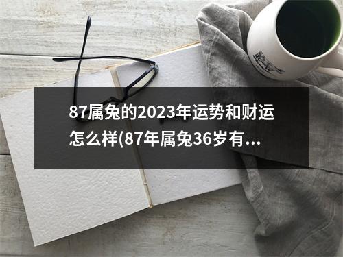 87属兔的2023年运势和财运怎么样(87年属兔36岁有一灾)