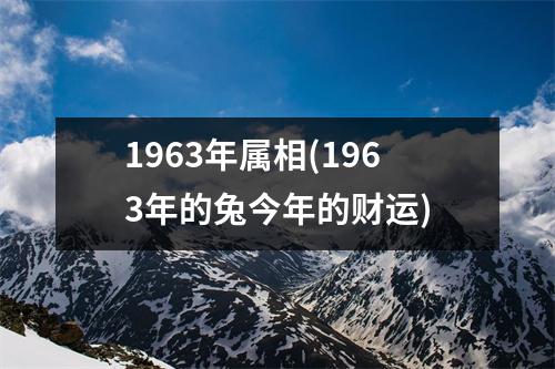 1963年属相(1963年的兔今年的财运)