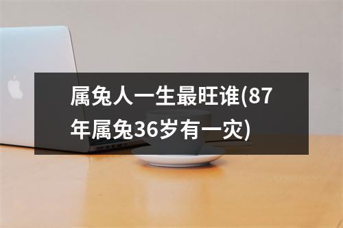 属兔人一生旺谁(87年属兔36岁有一灾)