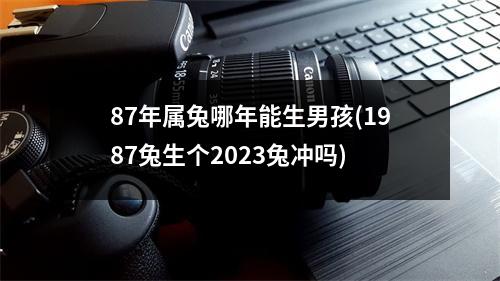 87年属兔哪年能生男孩(1987兔生个2023兔冲吗)