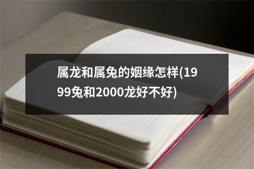 属龙和属兔的姻缘怎样(1999兔和2000龙好不好)