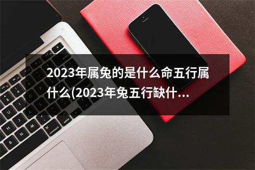 2023年属兔的是什么命五行属什么(2023年兔五行缺什么如何取名)