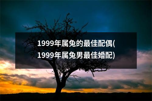 1999年属兔的佳配偶(1999年属兔男佳婚配)