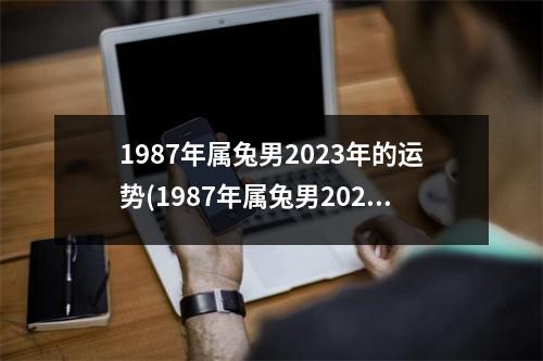 1987年属兔男2023年的运势(1987年属兔男2023年的运势和婚姻状况)