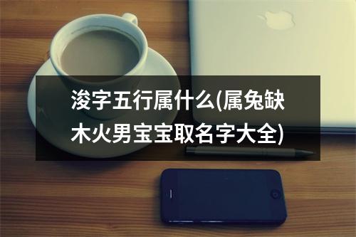 浚字五行属什么(属兔缺木火男宝宝取名字大全)