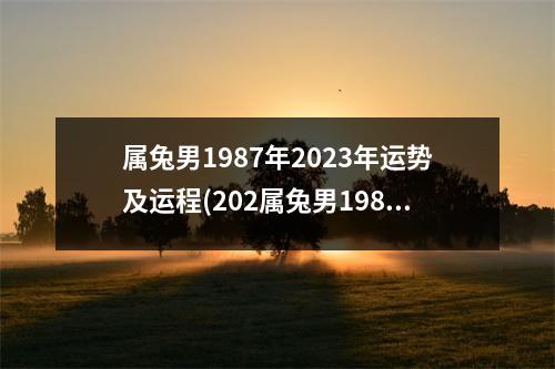 属兔男1987年2023年运势及运程(202属兔男1987年在2020财运如何)