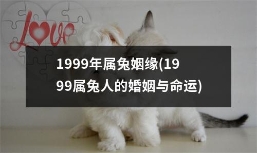 1999年属兔姻缘(1999属兔人的婚姻与命运)