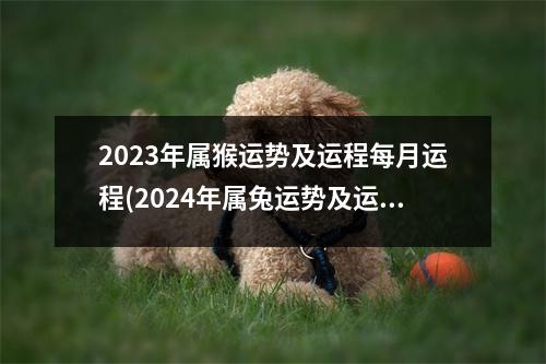 2023年属猴运势及运程每月运程(2024年属兔运势及运程1987年生人)