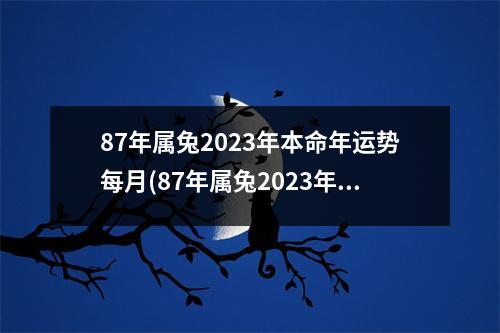 87年属兔2023年本命年运势每月(87年属兔2023年本命年运势每月运程)