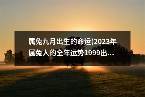 属兔九月出生的命运(2023年属兔人的全年运势1999出生)