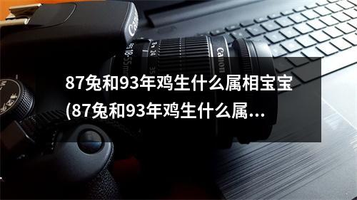 87兔和93年鸡生什么属相宝宝(87兔和93年鸡生什么属相宝宝可以化解)