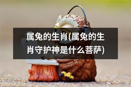 属兔的生肖(属兔的生肖守护神是什么菩萨)