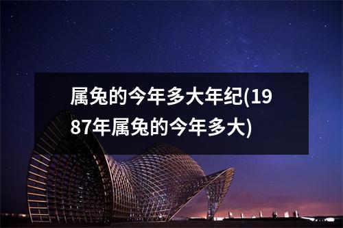 属兔的今年多大年纪(1987年属兔的今年多大)