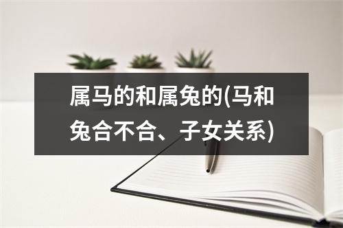 属马的和属兔的(马和兔合不合、子女关系)