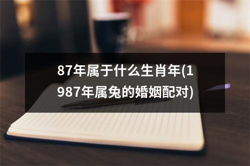 87年属于什么生肖年(1987年属兔的婚姻配对)