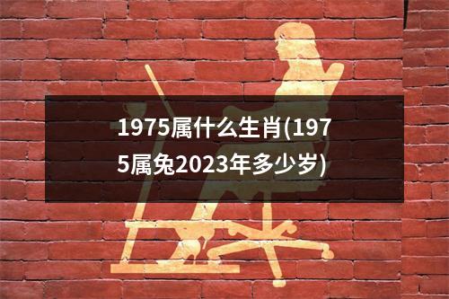 1975属什么生肖(1975属兔2023年多少岁)