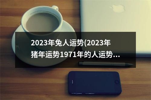 2023年兔人运势(2023年猪年运势1971年的人运势)