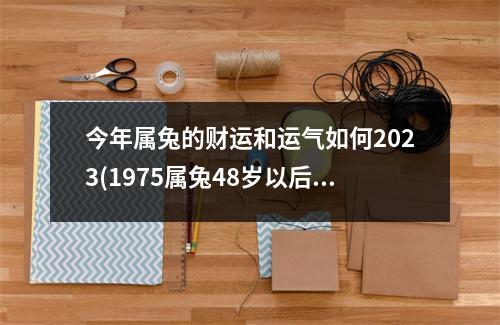 今年属兔的财运和运气如何2023(1975属兔48岁以后运气如何)