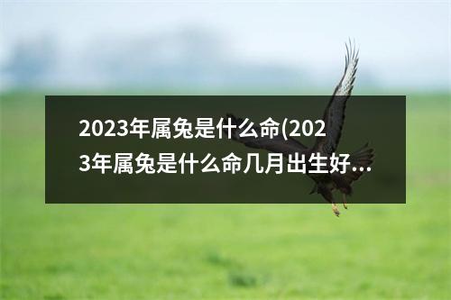 2023年属兔是什么命(2023年属兔是什么命几月出生好)