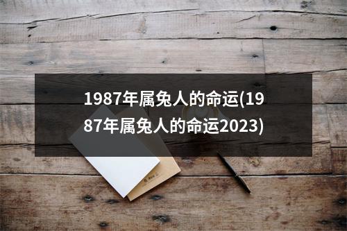 1987年属兔人的命运(1987年属兔人的命运2023)