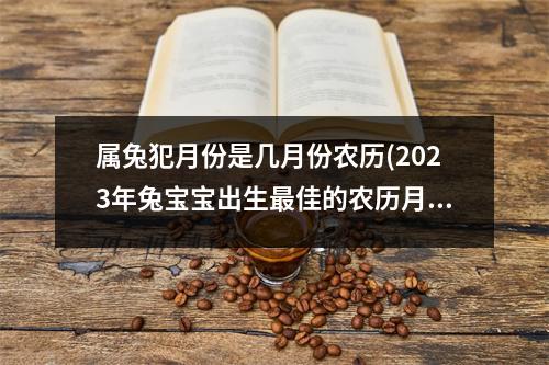 属兔犯月份是几月份农历(2023年兔宝宝出生佳的农历月份)