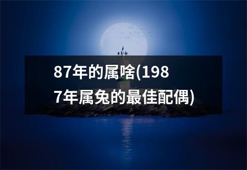 87年的属啥(1987年属兔的佳配偶)