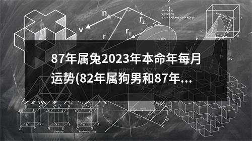 87年属兔2023年本命年每月运势(82年属狗男和87年属兔女婚姻)