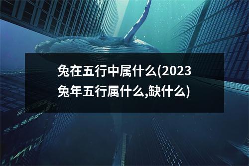 兔在五行中属什么(2023兔年五行属什么,缺什么)