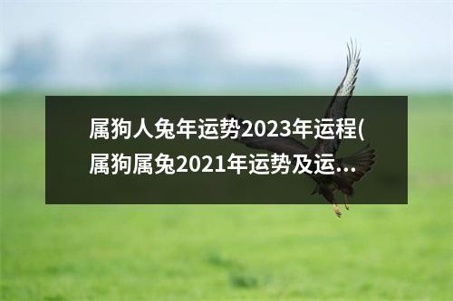 属狗人兔年运势2023年运程(属狗属兔2021年运势及运程每月运程)