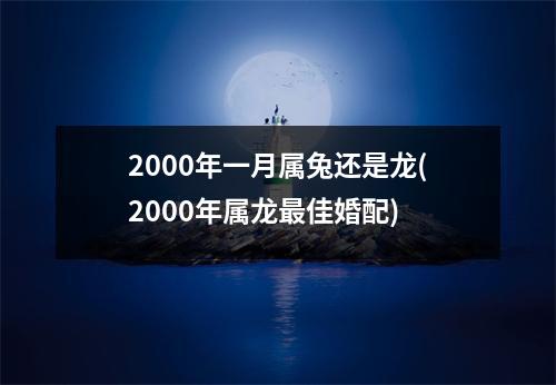 2000年一月属兔还是龙(2000年属龙佳婚配)