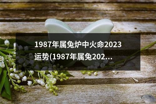 1987年属兔炉中火命2023运势(1987年属兔2023年全年运势)