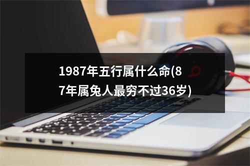 1987年五行属什么命(87年属兔人穷不过36岁)