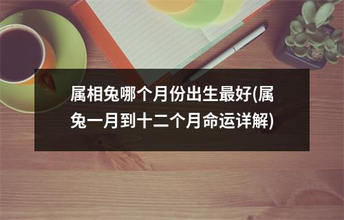 属相兔哪个月份出生好(属兔一月到十二个月命运详解)