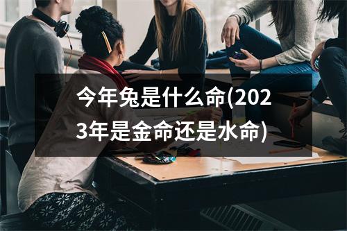 今年兔是什么命(2023年是金命还是水命)