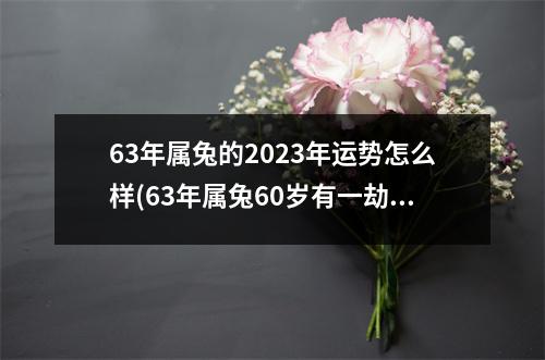 63年属兔的2023年运势怎么样(63年属兔60岁有一劫2023年)