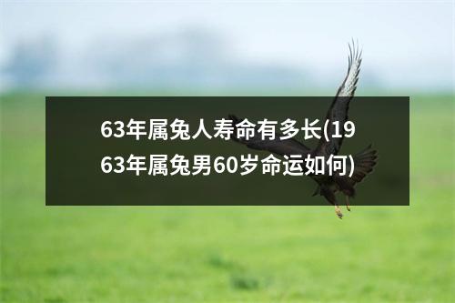 63年属兔人寿命有多长(1963年属兔男60岁命运如何)