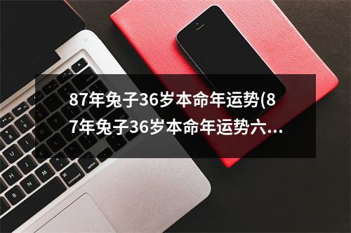 87年兔子36岁本命年运势(87年兔子36岁本命年运势六月出生的女孩)