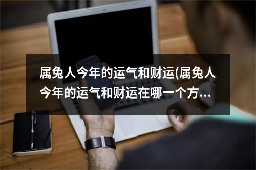 属兔人今年的运气和财运(属兔人今年的运气和财运在哪一个方向的挣得到钱)