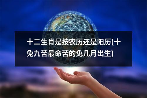 十二生肖是按农历还是阳历(十兔九苦命苦的兔几月出生)