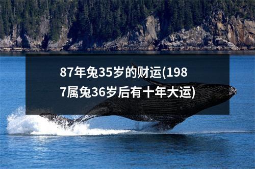 87年兔35岁的财运(1987属兔36岁后有十年大运)