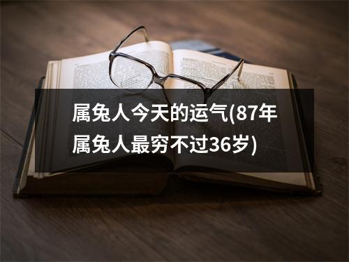 属兔人今天的运气(87年属兔人穷不过36岁)