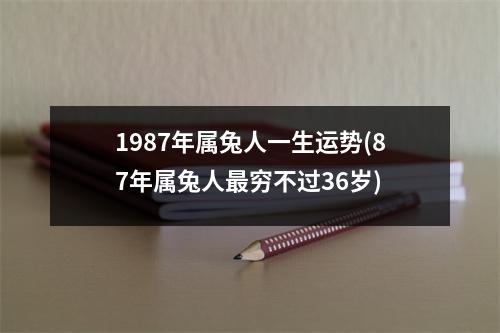 1987年属兔人一生运势(87年属兔人穷不过36岁)