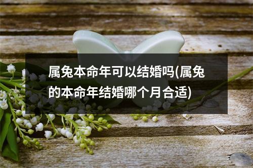 属兔本命年可以结婚吗(属兔的本命年结婚哪个月合适)