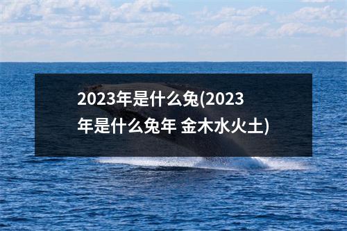 2023年是什么兔(2023年是什么兔年 金木水火土)