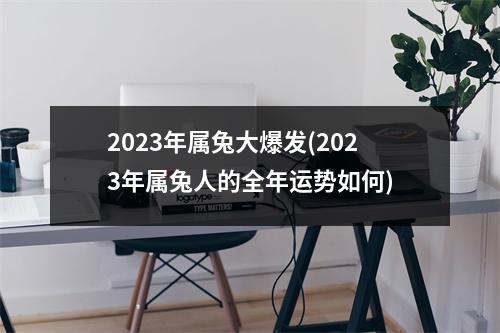 2023年属兔大爆发(2023年属兔人的全年运势如何)